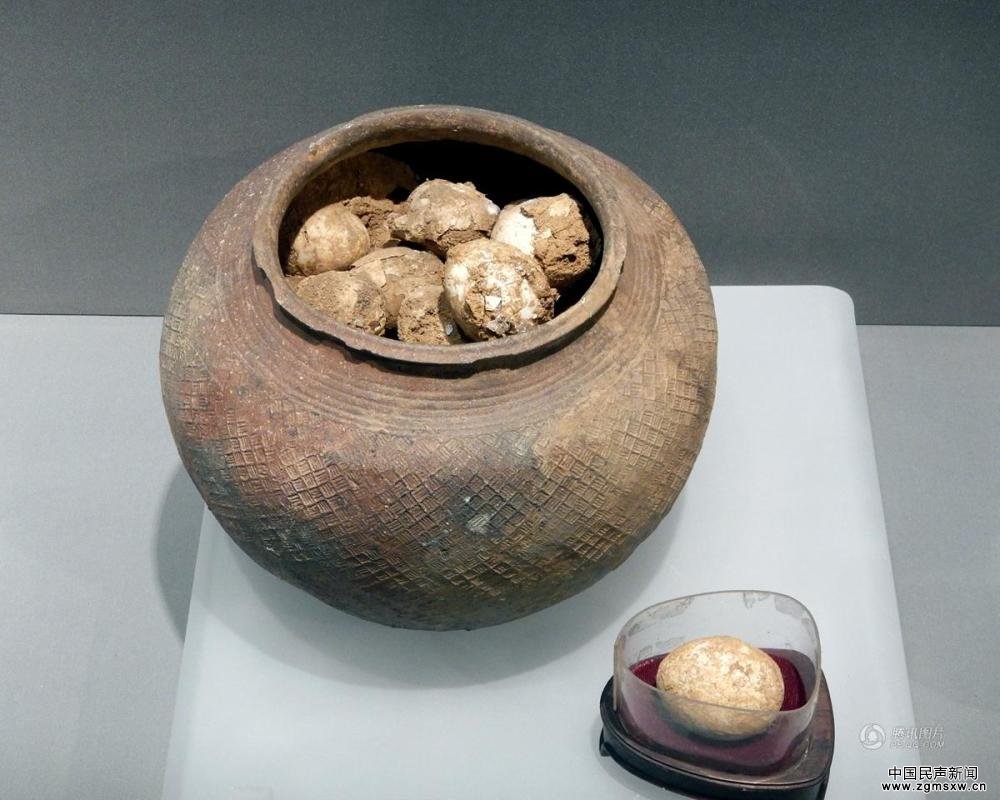 南京博物馆展出鸡文物“西周鸡蛋”引关注