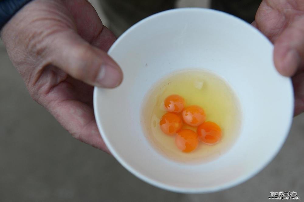 武汉市民1只鸡蛋打出5个蛋黄