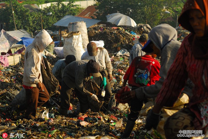 印尼拾荒者：垃圾山中养家糊口讨生活