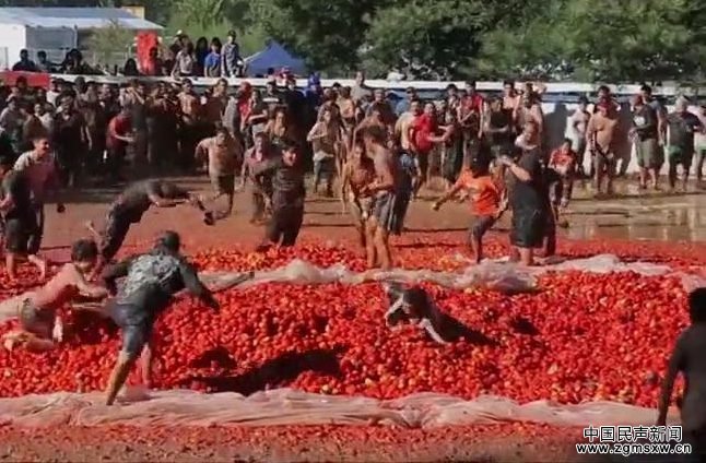 智利“番茄大战”：3小时用掉百吨西红柿