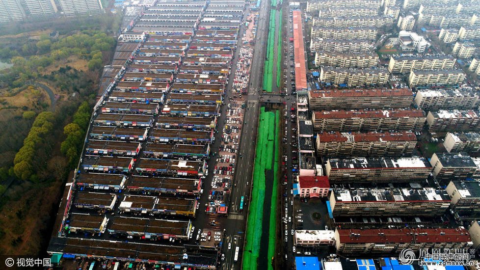 济南：2.2公里长河道“人工造绿”