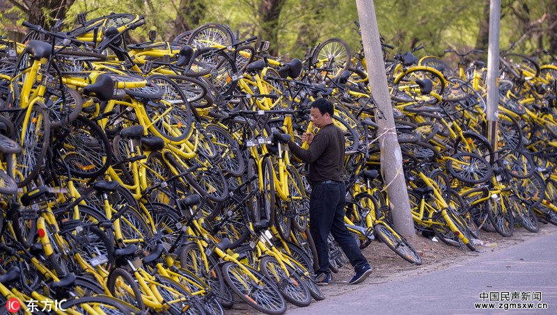 北京万辆被损坏共享单车堆积成山 绵延300米 (1