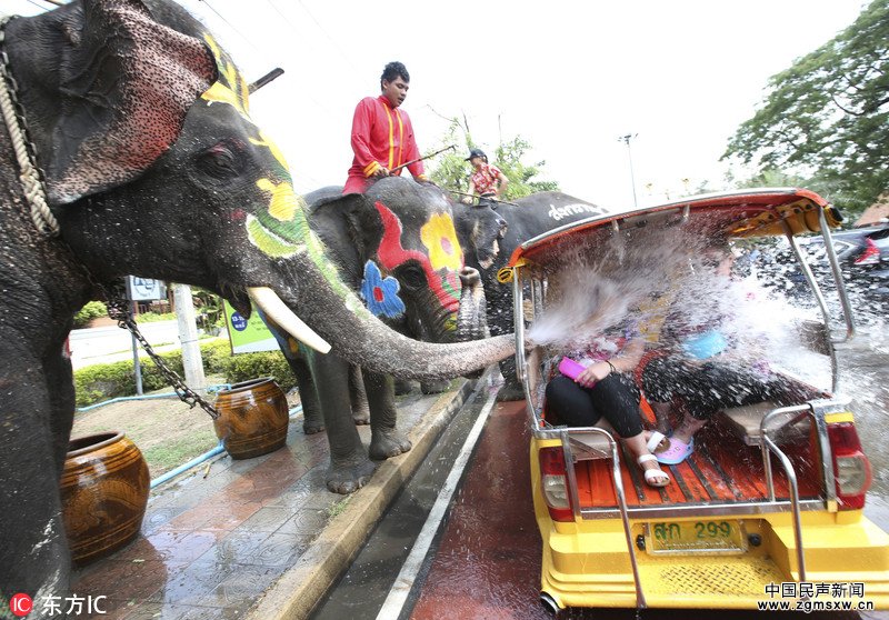 泰国泼水节狂欢 游客与大象激烈水仗