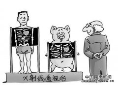 猪器官移植给人非天方夜谭 猪肉生产商欲打造生